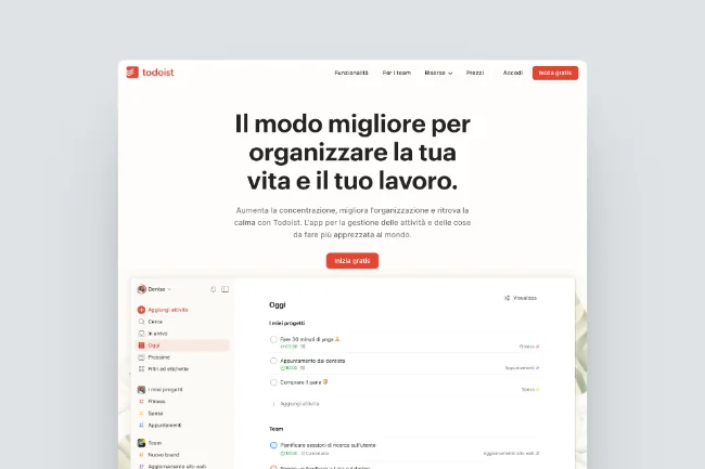 Todoist - Screenshot Homepage